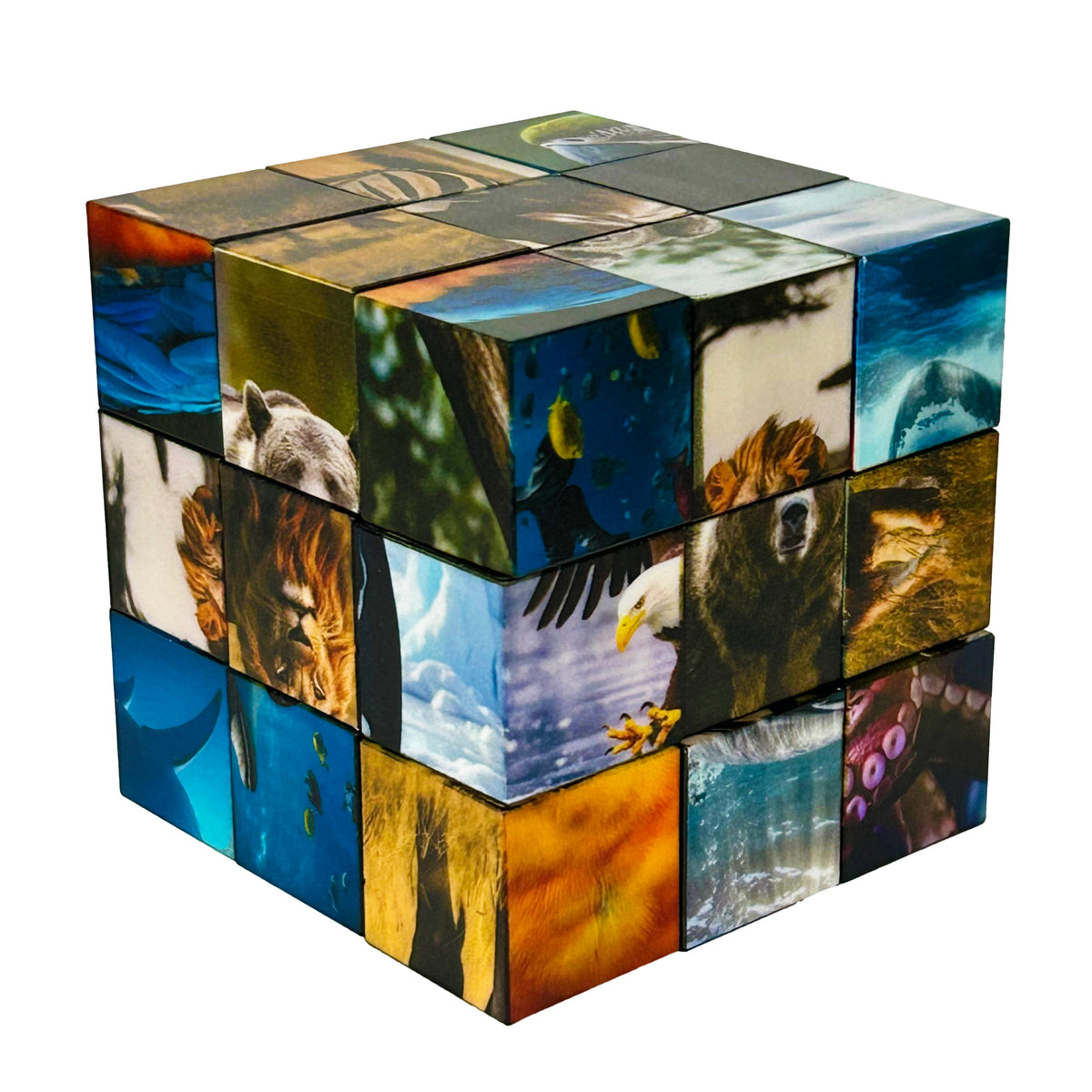 Click Blocks - Magnetic 27 pc Animals Puzzle